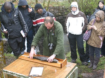 Ben Rushbrooke measuring the spring salmon taken at Tournaig on 6/5/09 (photo by Steve Kett)