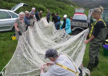 Preparing the net for sea trout sampling