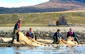 Sweep netting for sea trout at Kildonan Bay, Little Loch Broom