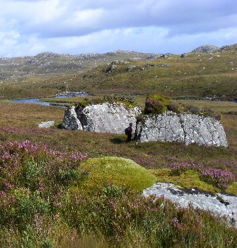 vegetated boulders by the Little Gruinard River, September 2016