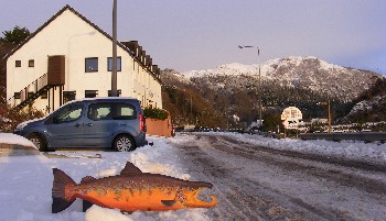 5 Jan '10: WRFT office, vehicle and replica of ~35lb Ewe salmon found in Jan 2003 (by Robin Ade)