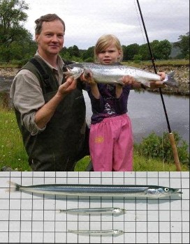 Alasdair and Sophie Macdonald with her first salmon caught on 12 July 2010, and sandeels from 2009