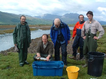 The sea lice monitoring team with sea trout of 43cm by mouth of River Carron.