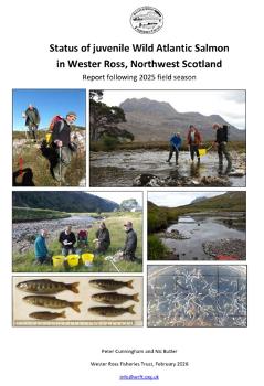 Status of juvenile salmon in Wester Ross 2025 