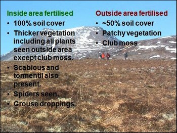 One of Donald McVean's experimental plots on Beinn Eighe, ~50 years on