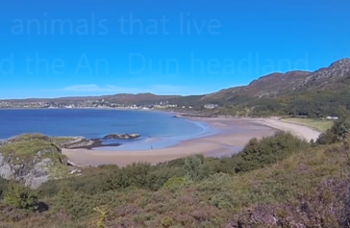 Gairloch beach