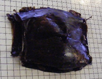 Gruinard bay egg case. The grid is of 1cm squares.