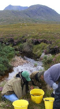 Inspecting the catch, by River Runie Headwaters, August 2016. What was in the bucket?