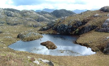 Does this lochan in the Gairloch hills support a fish population?