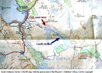 Loch Kernsary: a salmon kelt's challenge?