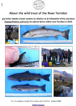 Torridon sea trout report